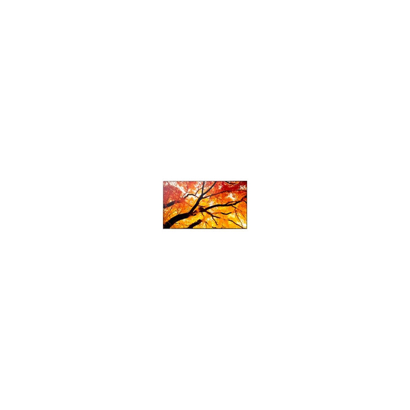MONITOR PROFESIONAL SHARP 75 PN-M752 UHD 3840 X 2160 24/7, 550 CD/M2, 8000:1, HDMI, DISPLAYPORT HDCP, USB, RJ-45, INTEL SDM Y