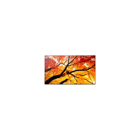 MONITOR PROFESIONAL SHARP 75 PN-M752 UHD 3840 X 2160 24/7, 550 CD/M2, 8000:1, HDMI, DISPLAYPORT HDCP, USB, RJ-45, INTEL SDM Y