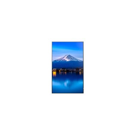 MONITOR PROFESIONAL SHARP 55, PN-P556 LED, 24/7, 700 CD/M2, 10 BIT, UHD, HDMI IN/OUT ARC, DP IN/OUT, USB, CONT.8000:1 COMPATIB