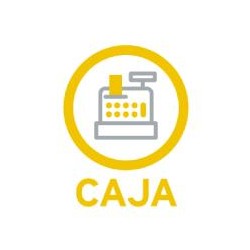 SIIGO ASPEL CAJA USUARIO ADICIONAL ANUAL (ELECTRONICO)