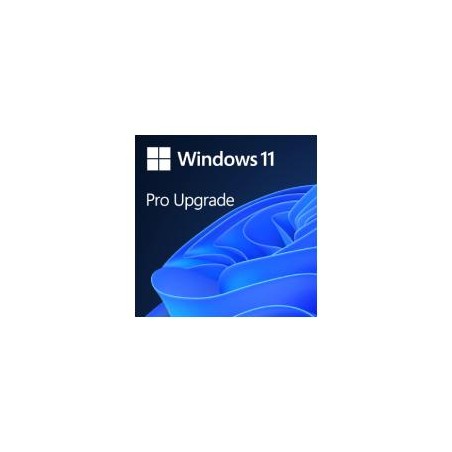 MICROSOFT CSP WINDOWS 11 HOME TO PRO UPGRADE FOR MICROSOFT 365 BUSINESS COM - PERPETUO
