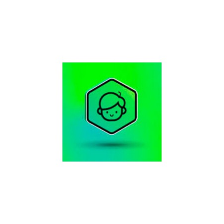 ESD KASPERSKY SECURE CONNECTION 1MES
