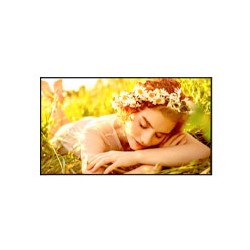 MONITOR DE SEÑALIZACION DIGITAL LG DE 55 PLG USO 24/7 BRILLO 500 NITS, 8MS 60HZ HDMI 3 HDCP 2.1/1.4 RS232 RJ45 USB A 2.0 SALIDA