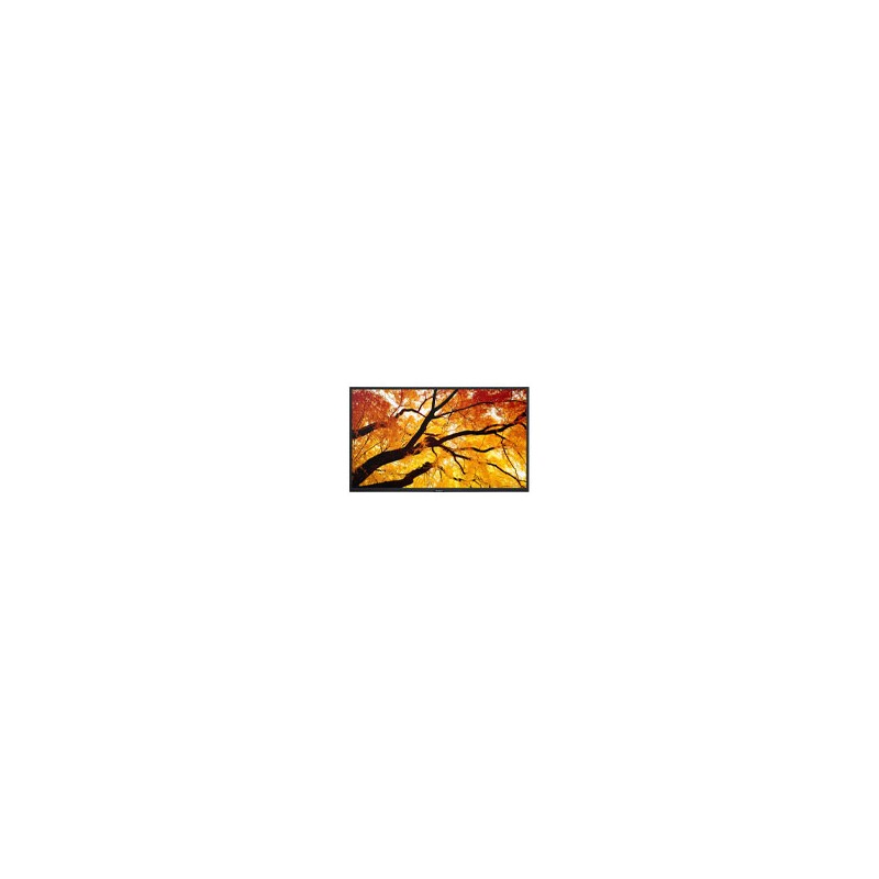 MONITOR PROFESIONAL SHARP DE 32 M322 FULL HD 1920 X 1080 24/7, 450 CD/M2, 40001, HDMI, DISPLAYPORT HDCP, USB, RJ-45