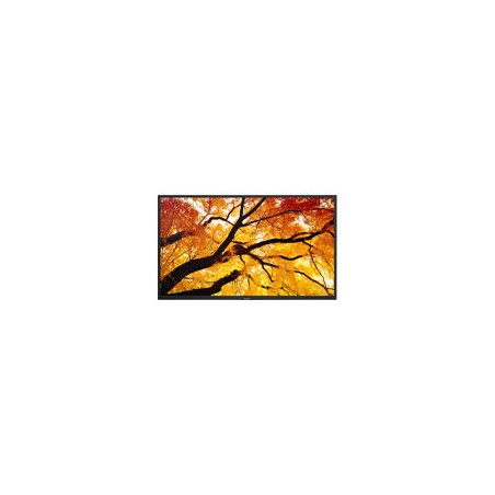 MONITOR PROFESIONAL SHARP DE 32 M322 FULL HD 1920 X 1080 24/7, 450 CD/M2, 40001, HDMI, DISPLAYPORT HDCP, USB, RJ-45