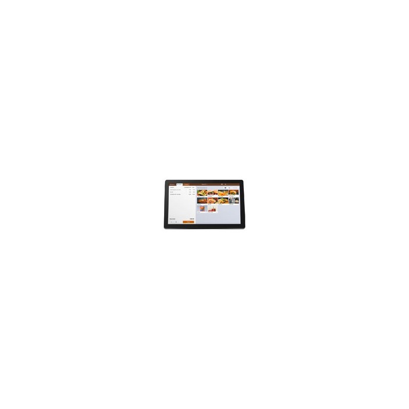 PANTALLA PARA CLIENTE 3NSTAR P4-M10 , LCD DE 10.1 PULGADAS, LCD 1024 X 768  COLOR GRIS OSCURO, NO TOUCH, VGA