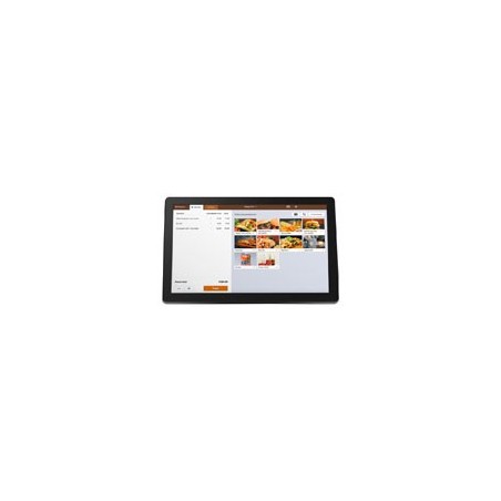 PANTALLA PARA CLIENTE 3NSTAR P4-M10 , LCD DE 10.1 PULGADAS, LCD 1024 X 768  COLOR GRIS OSCURO, NO TOUCH, VGA